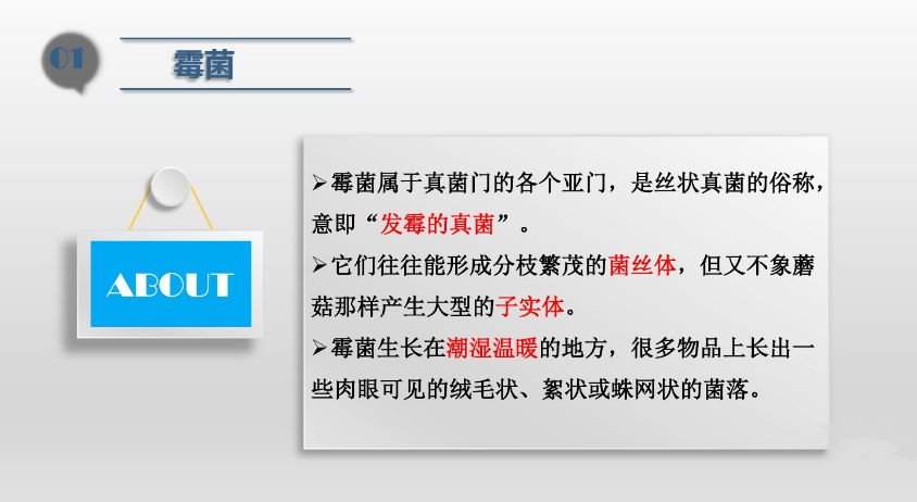 食品洁净车间,环境霉菌来源,霉菌控制措施，滁州无尘净化车间